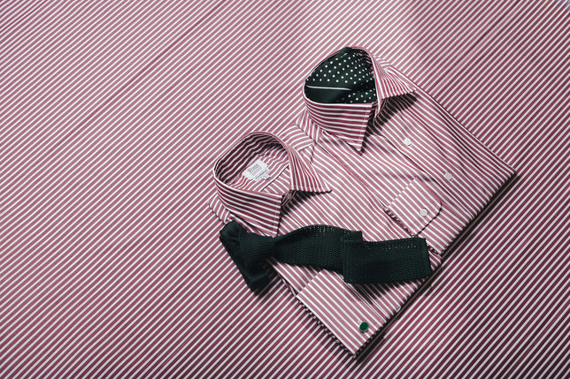 Burgundy budd stripe shirts on matching background