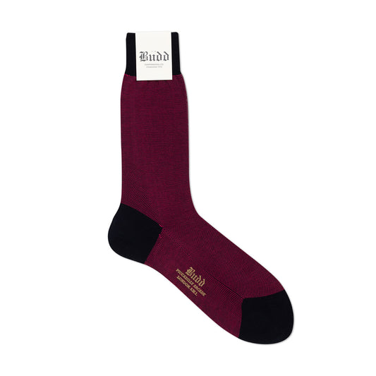 Birdseye Cotton Short Socks in Navy and Magenta
