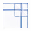 Contrast Check Border White Cotton Handkerchief in Cornflower