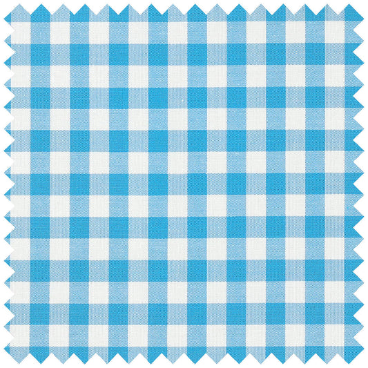 Gingham Check in Turquoise