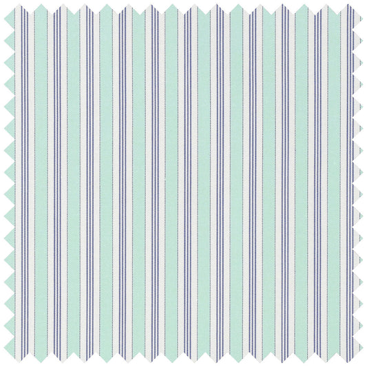 Multi Coloured Stripe in Mint Green