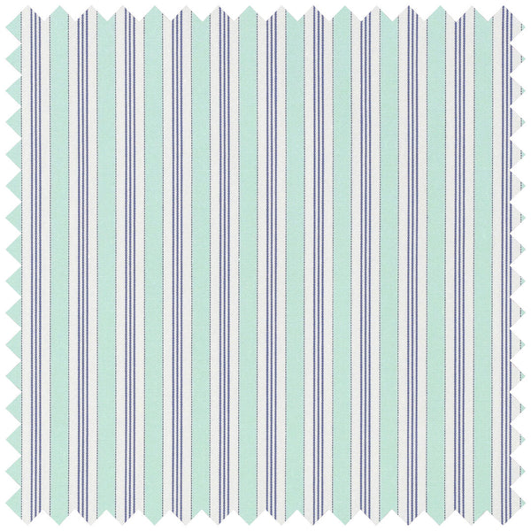 Multi Coloured Stripe in Mint Green