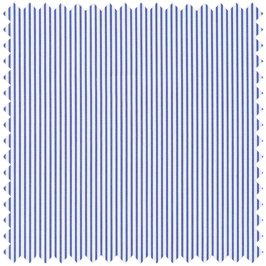 Royal Blue Poplin Pencil Stripe
