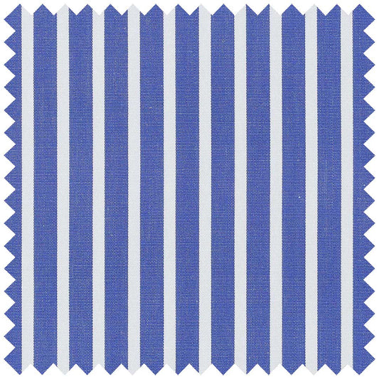 Royal Blue Poplin Pencil Stripe