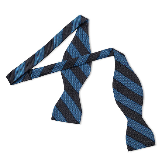 Broad Stripe Jacquard Silk Thistle Bow Tie in Sky and Grey