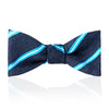 Stripe Tussah Silk Thistle Bow Tie in Sky and White 